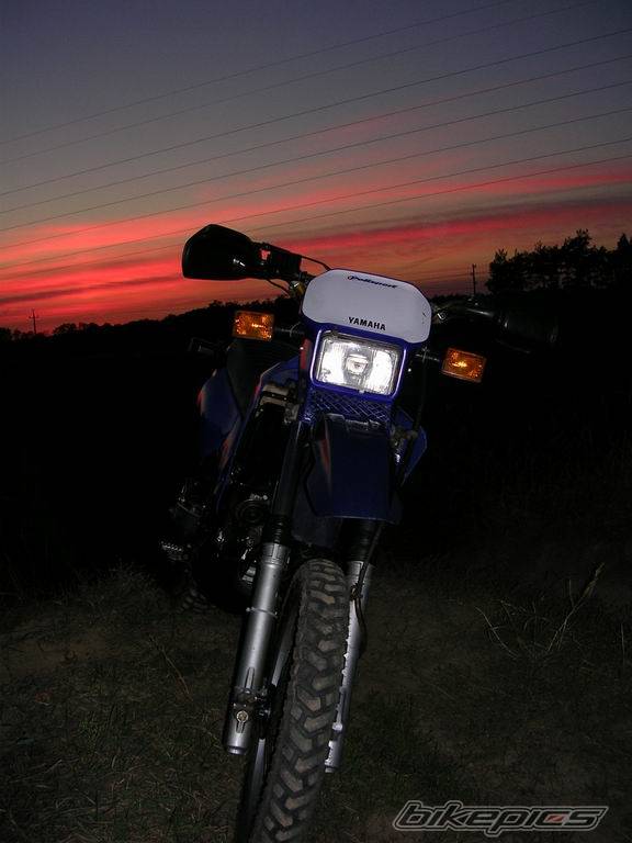 Bike Photo 445724