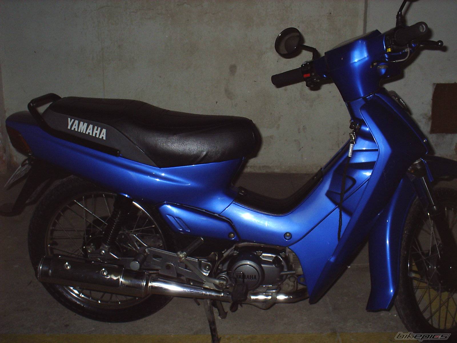 Photo 445772