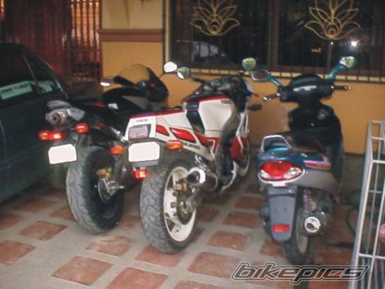 Photo 445872