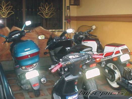 Photo 445873