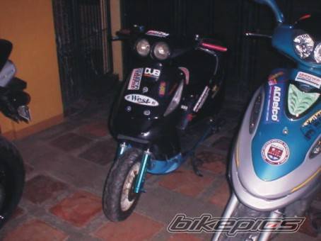Photo 445882