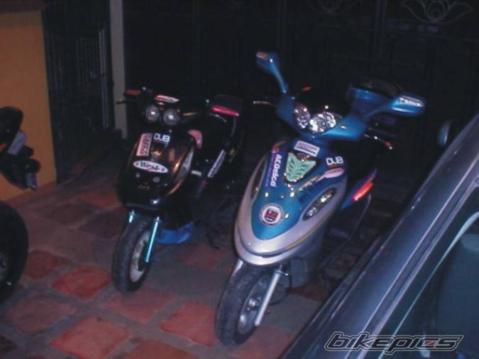 Photo 445888
