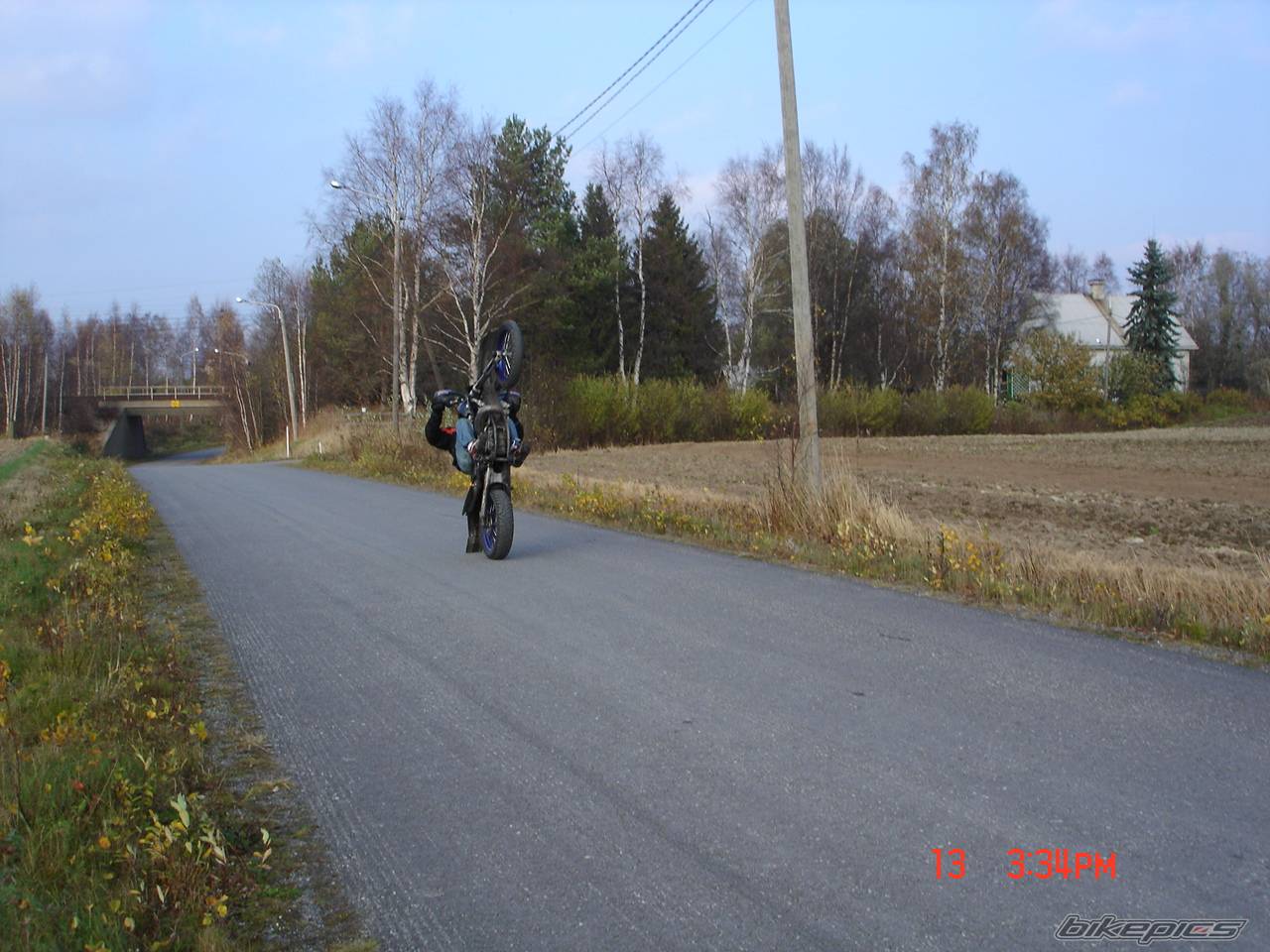 Photo 445965