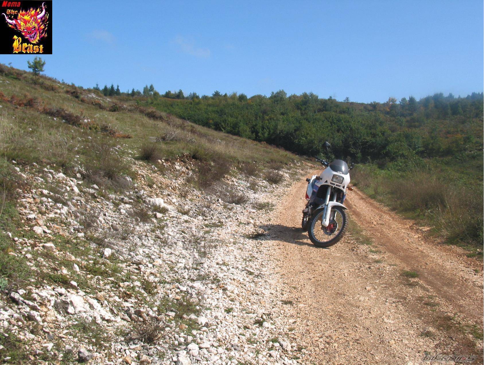Bike Photo 445966