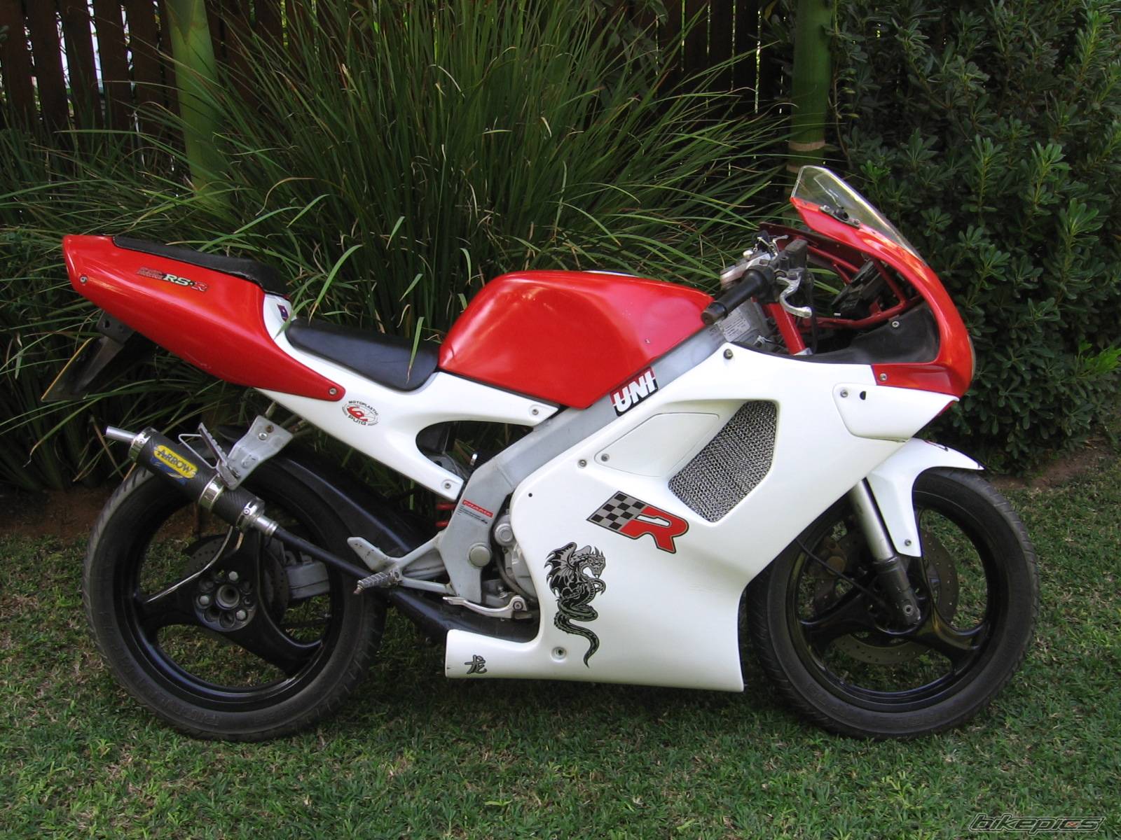 Bike Photo 445979