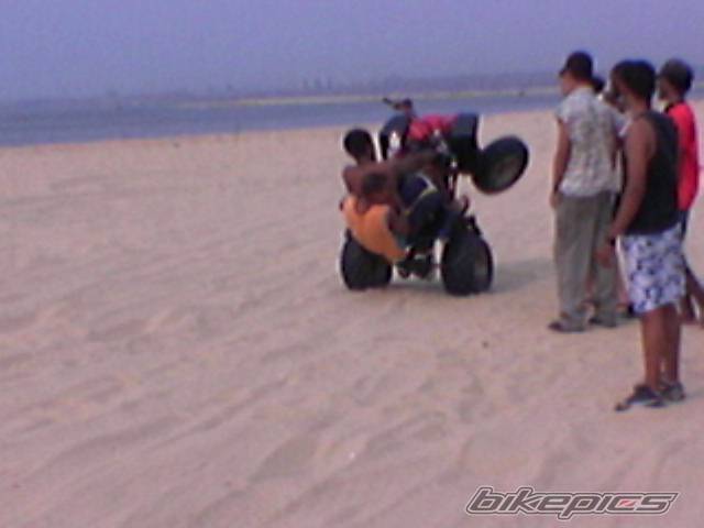 Photo 445986