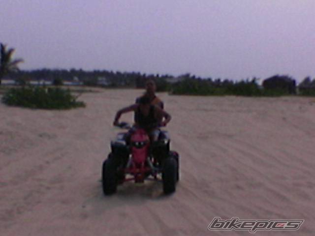 Photo 445988