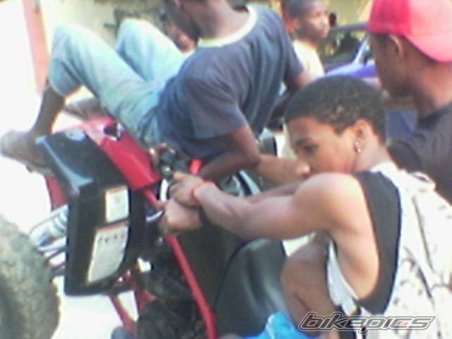 Photo 445990
