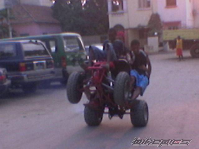 Photo 445991