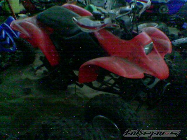 Photo 445993