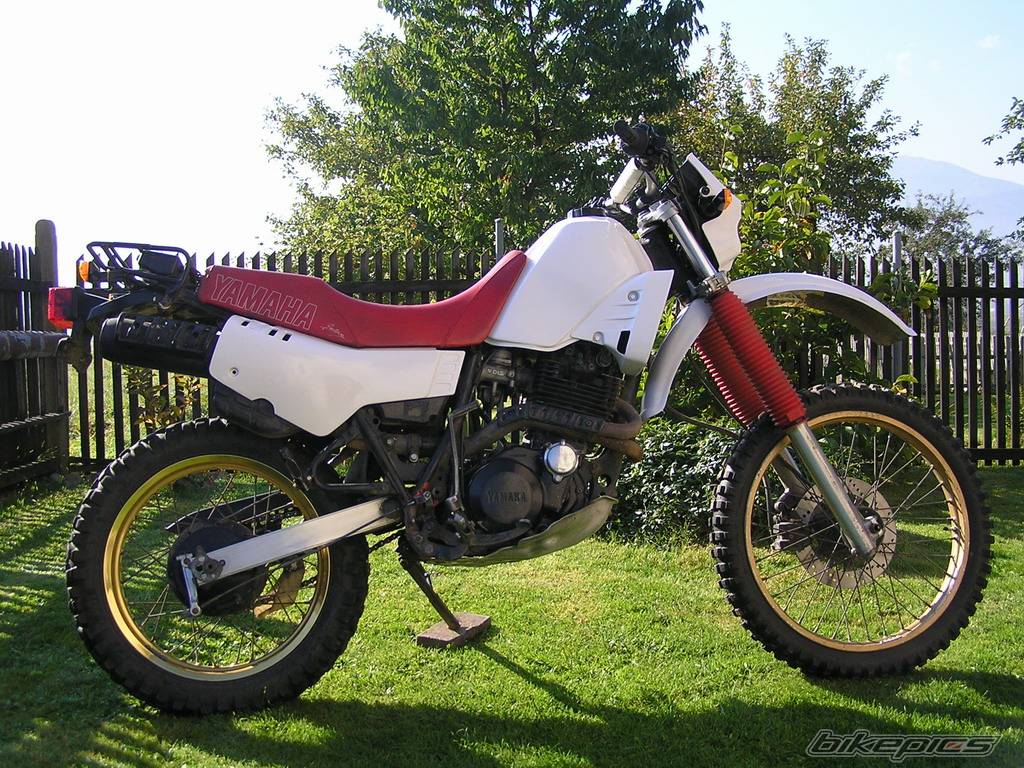 Photo 446022