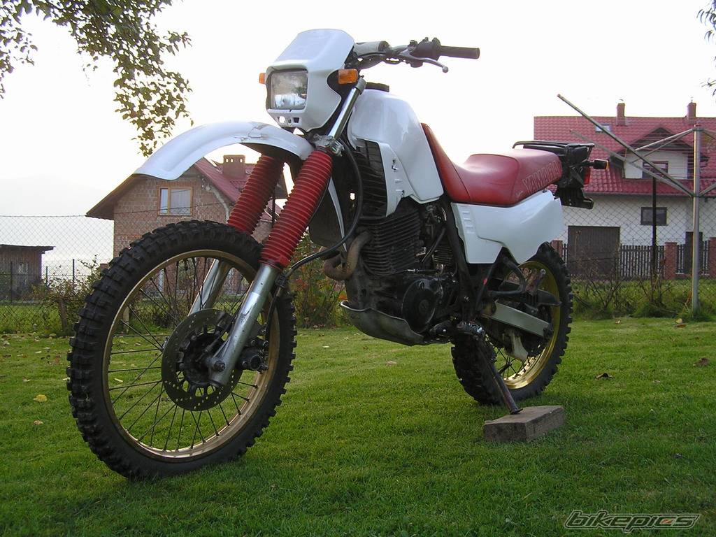 Bike Photo 446026