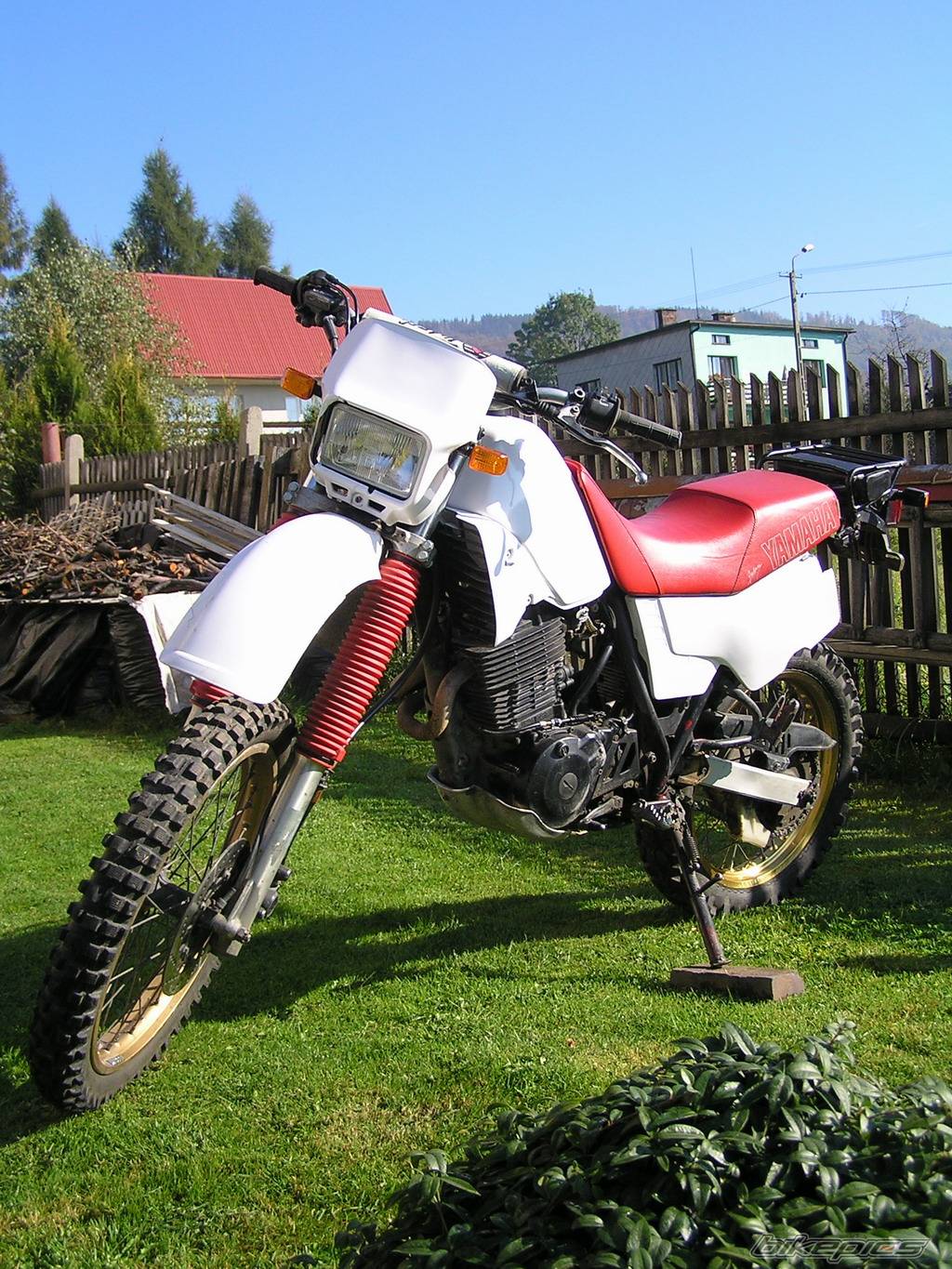 Photo 446027