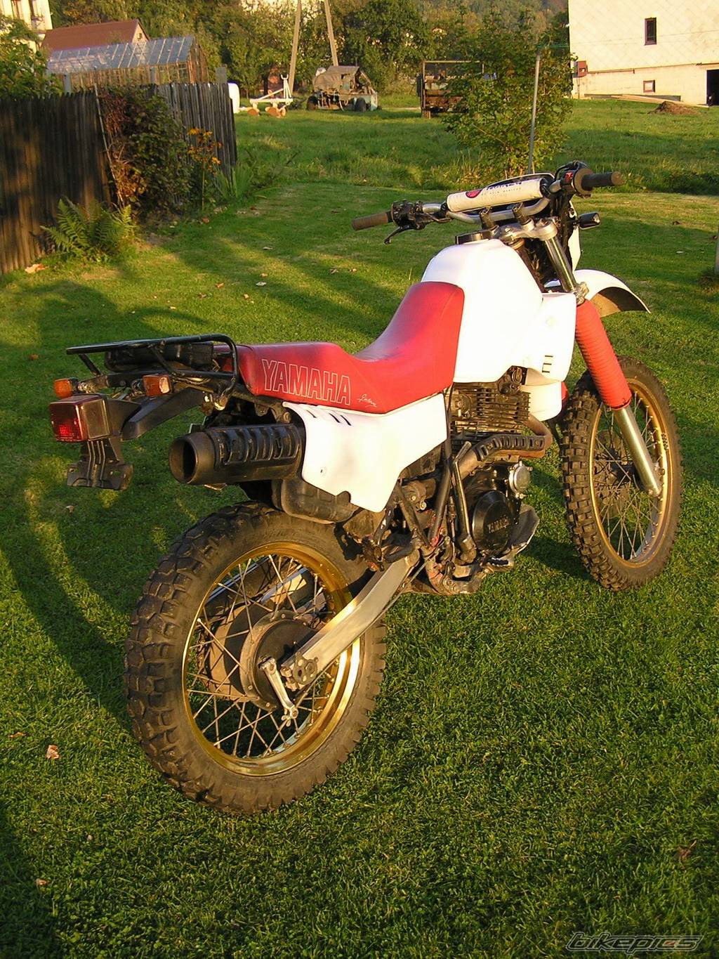 Bike Photo 446028