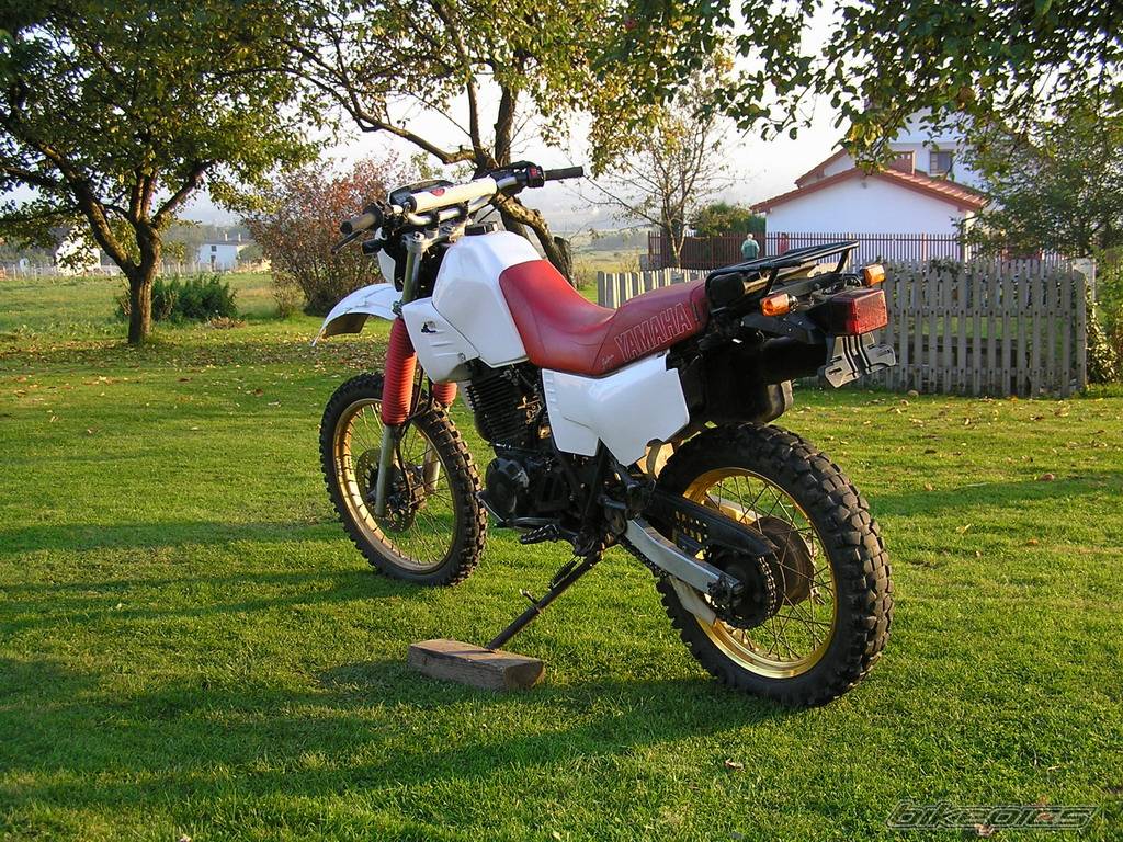 Bike Photo 446030