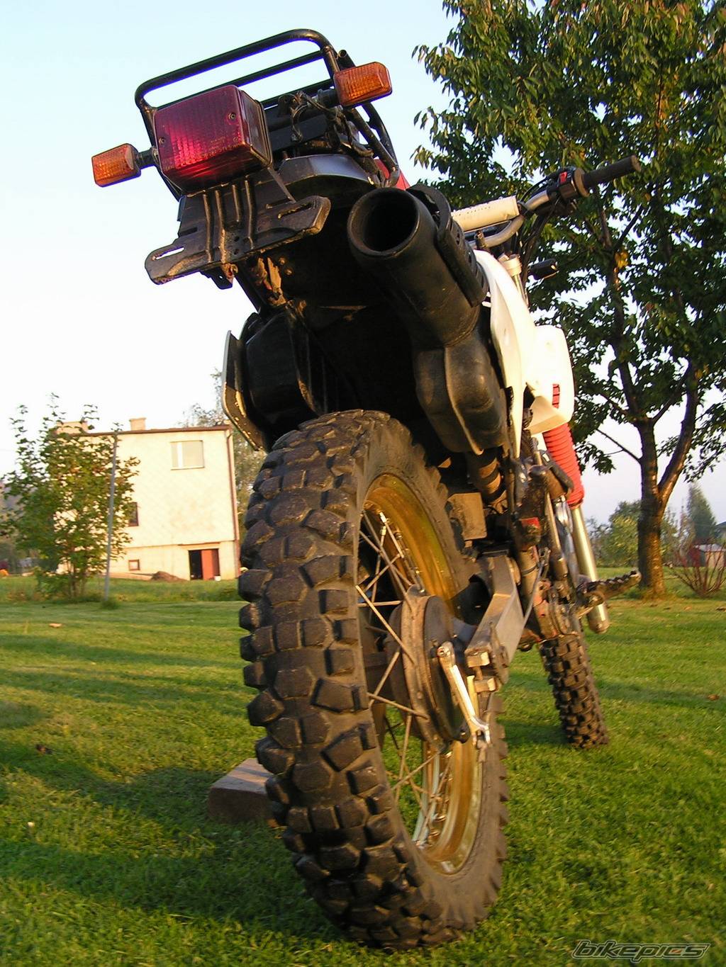 Bike Photo 446031