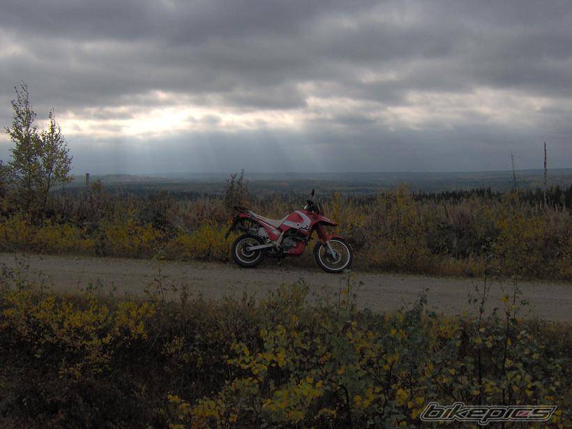 Photo 446051