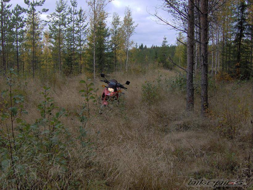 Photo 446054