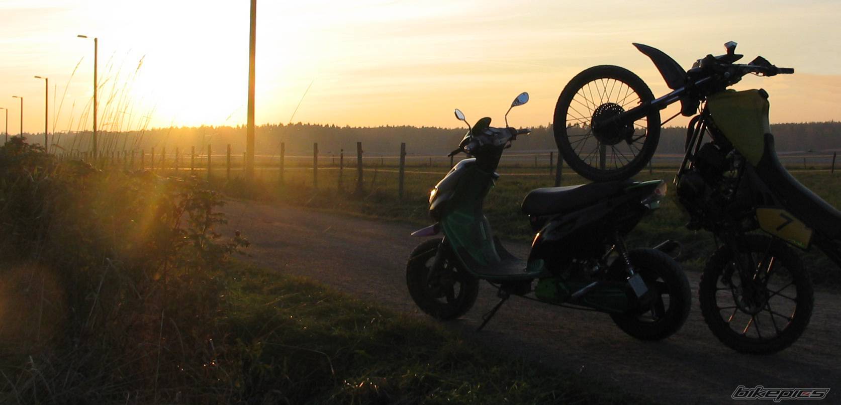 Photo 446096