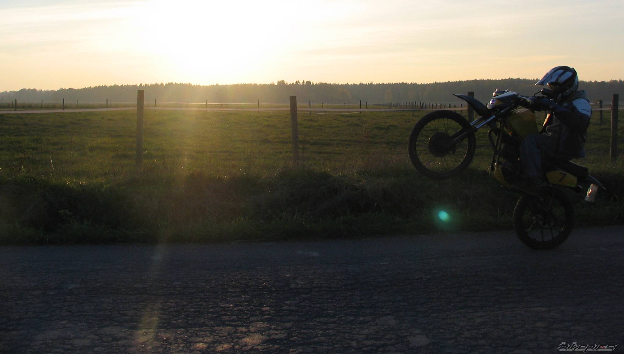 Photo 446100