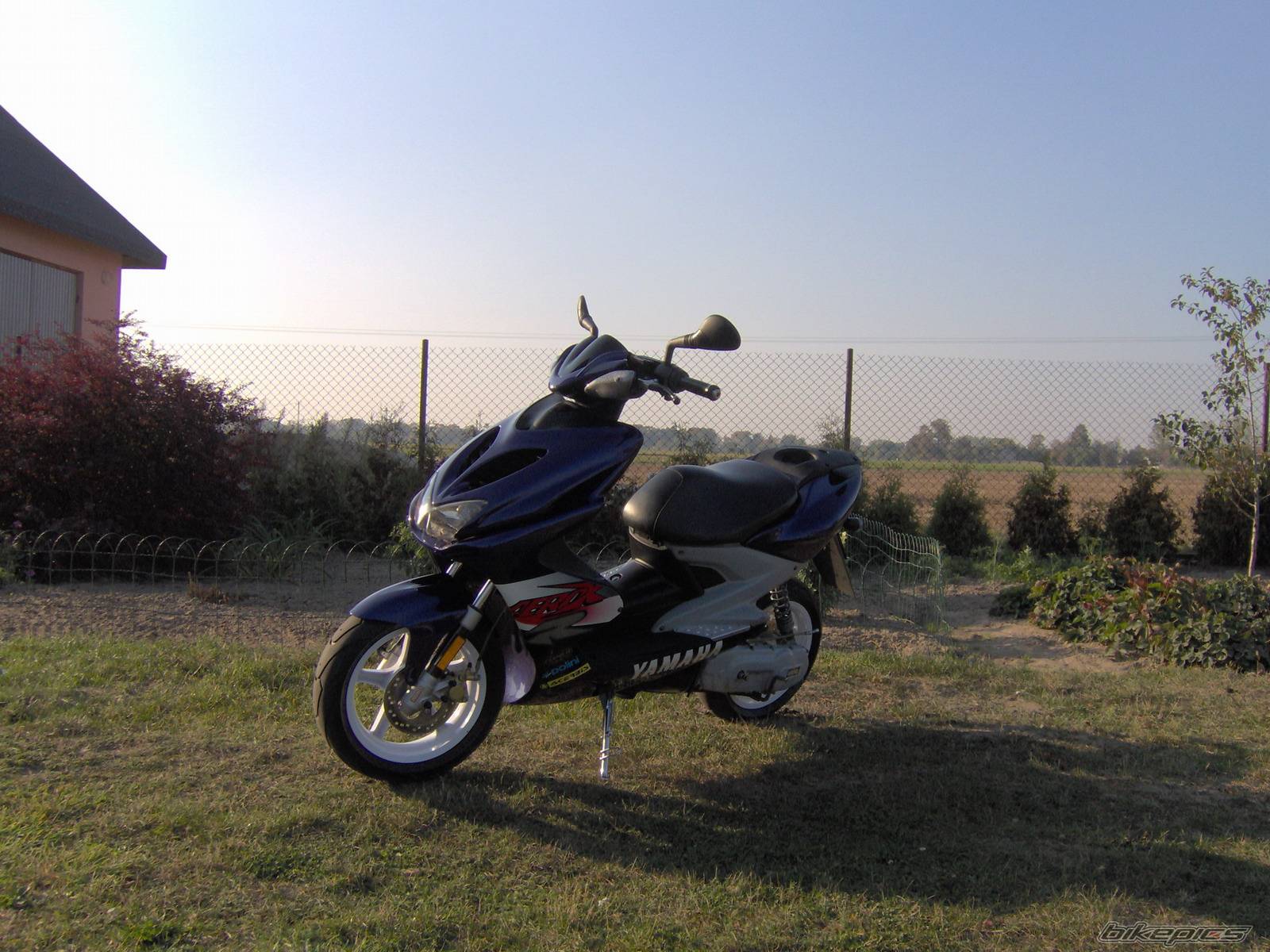 Bike Photo 446110