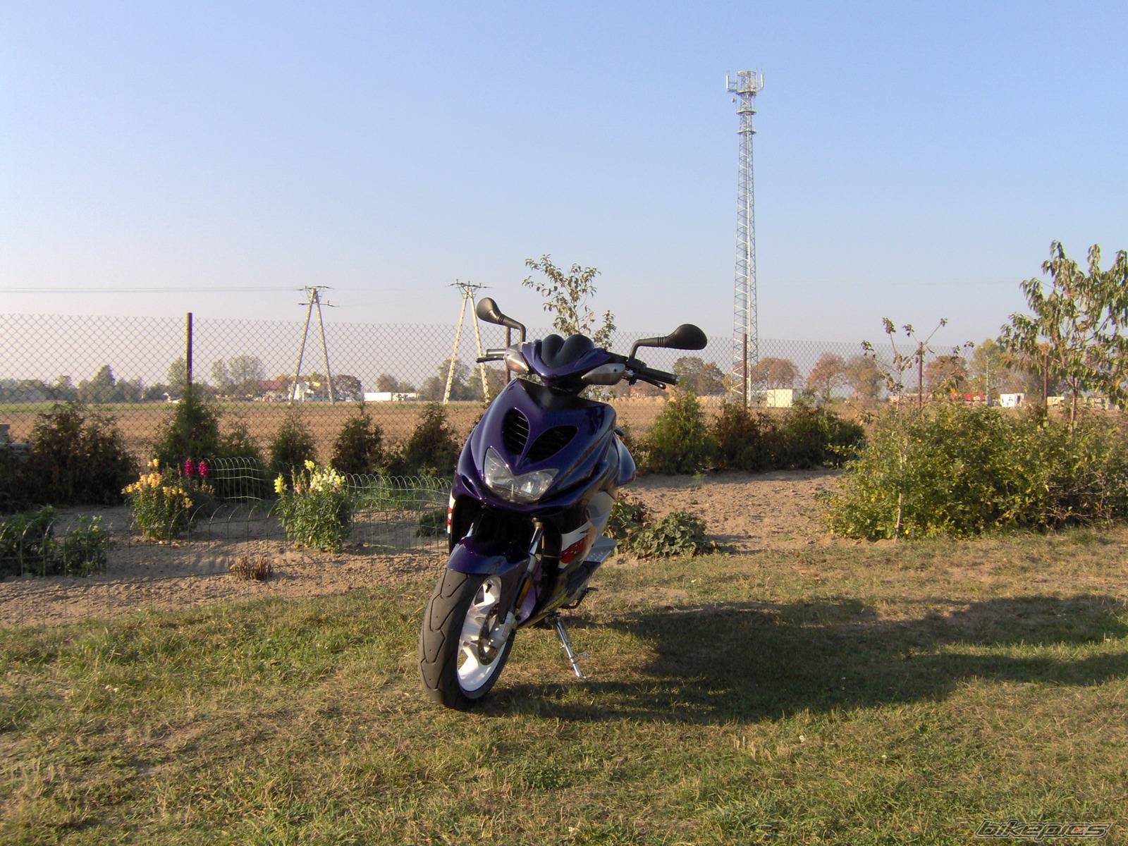Bike Photo 446111