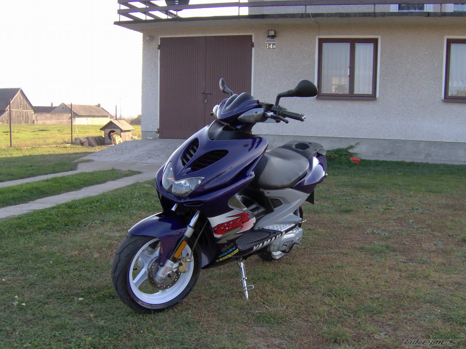 Bike Photo 446114