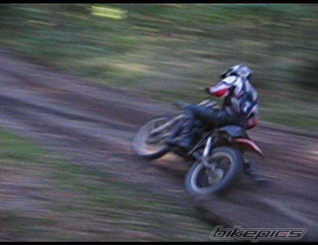 Photo 446181