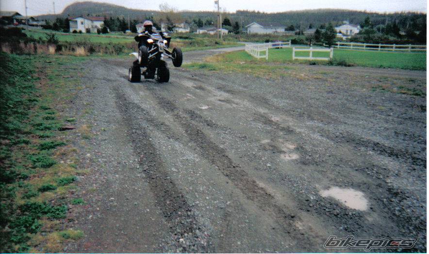 Photo 446229