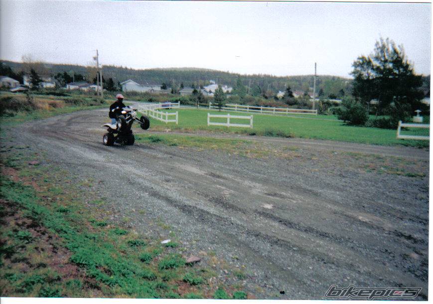 Photo 446230
