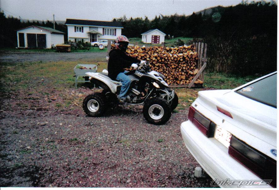 Photo 446231