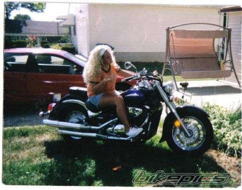 Photo 446268