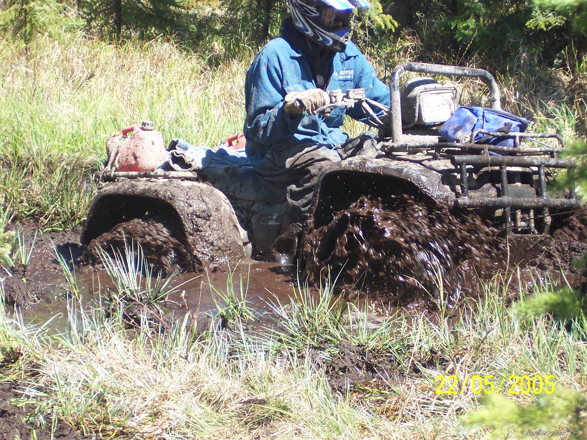 Photo 446273