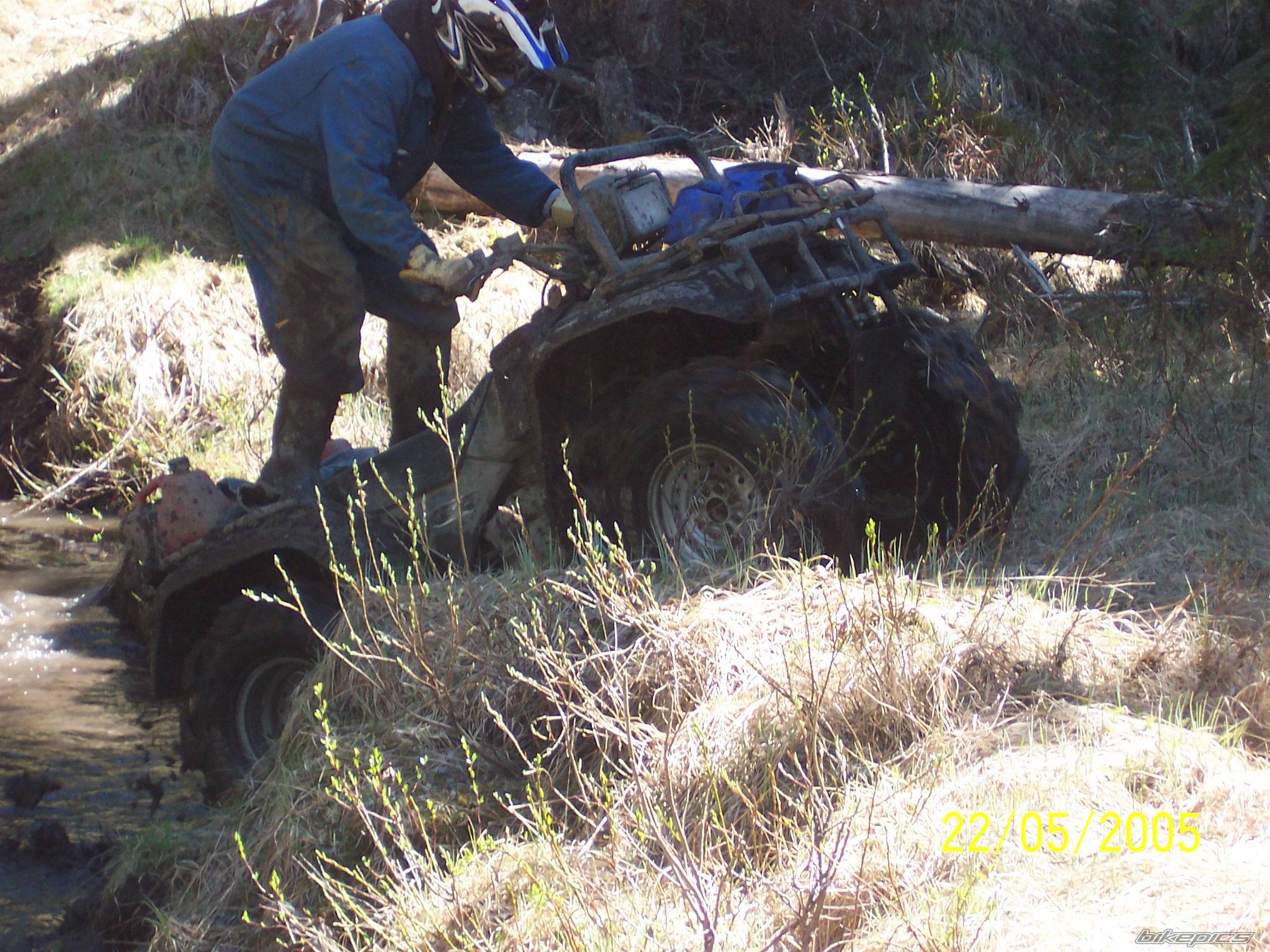 Photo 446274