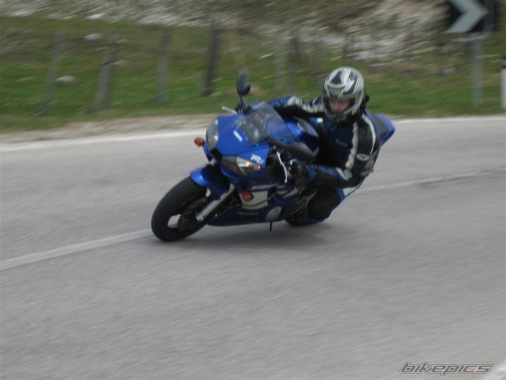 Bike Photo 446279