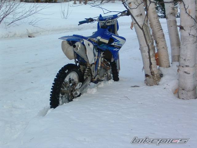 Bike Photo 44629