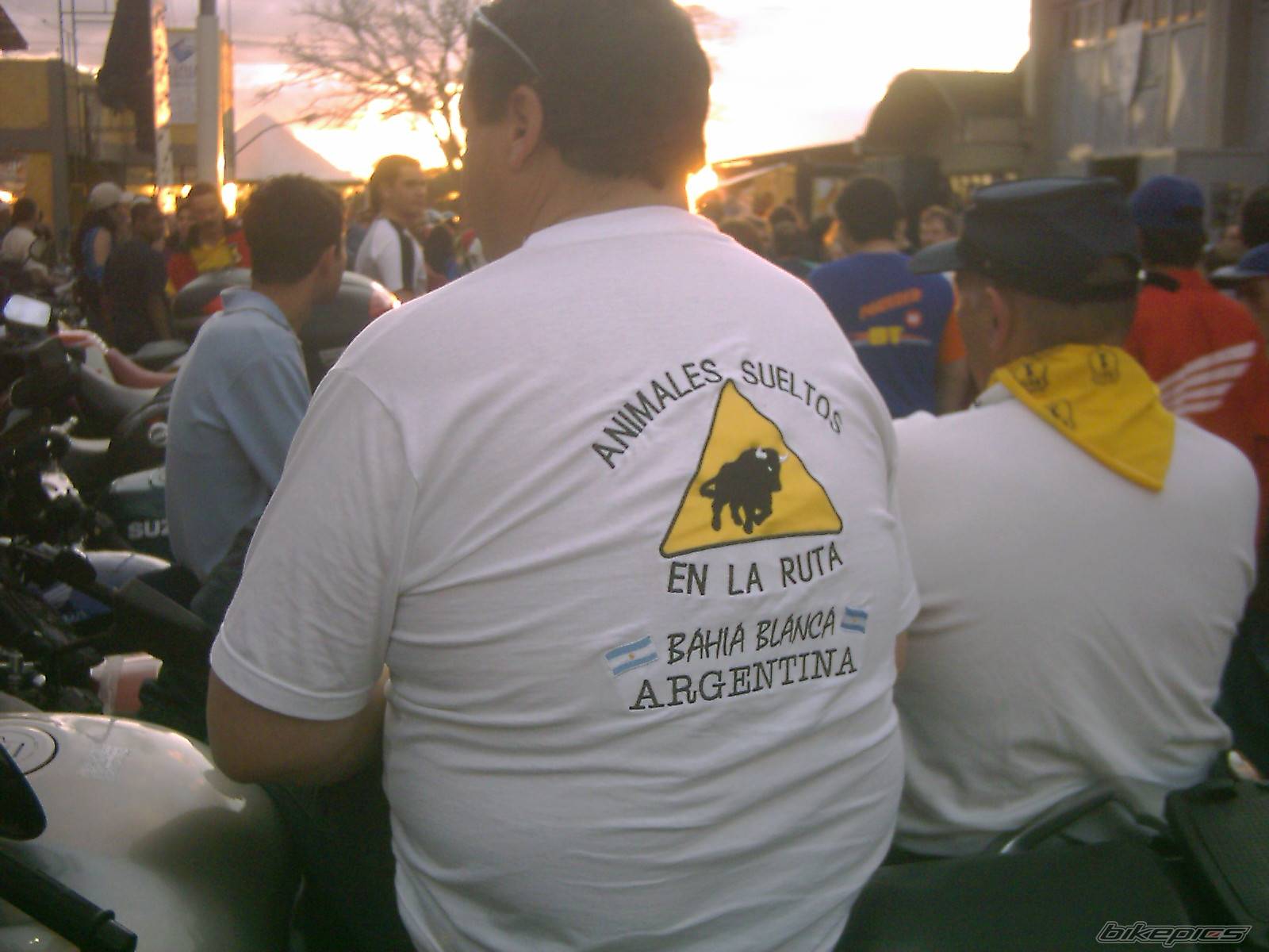 Photo 446309