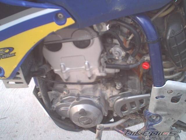 Bike Photo 446321