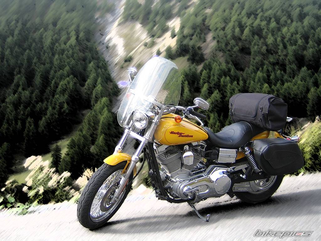 Bike Photo 446419