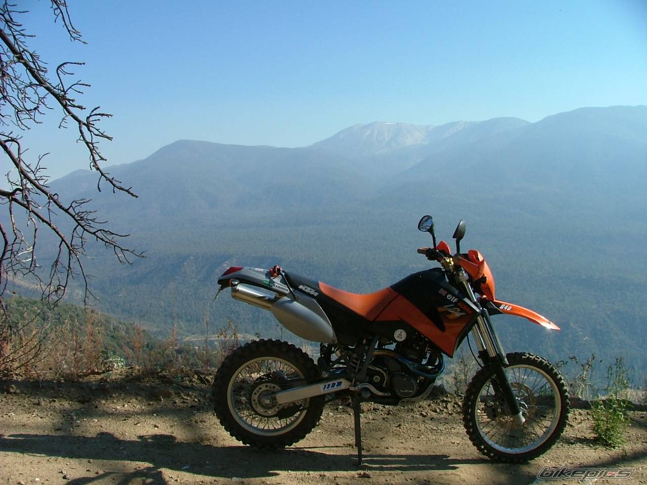Photo 446421