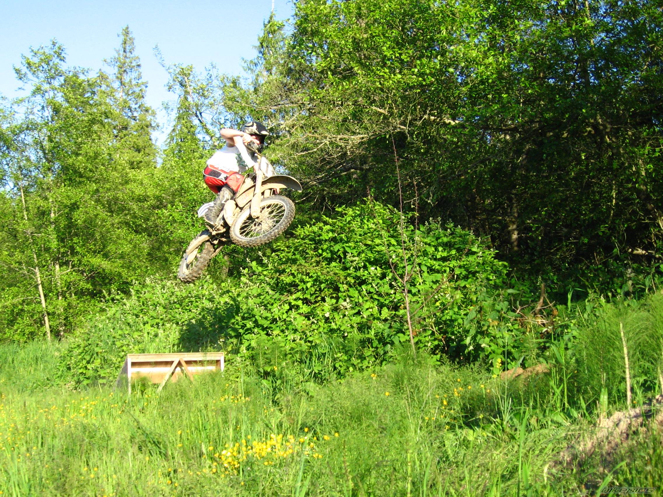Bike Photo 446423