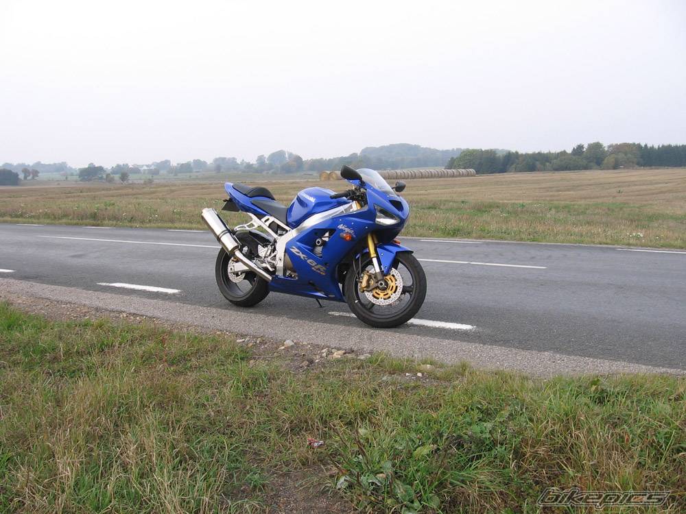 Photo 446435