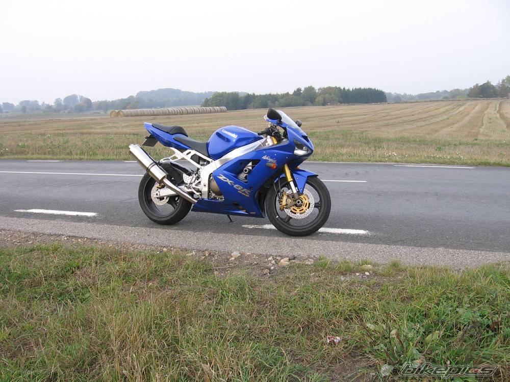 Photo 446436