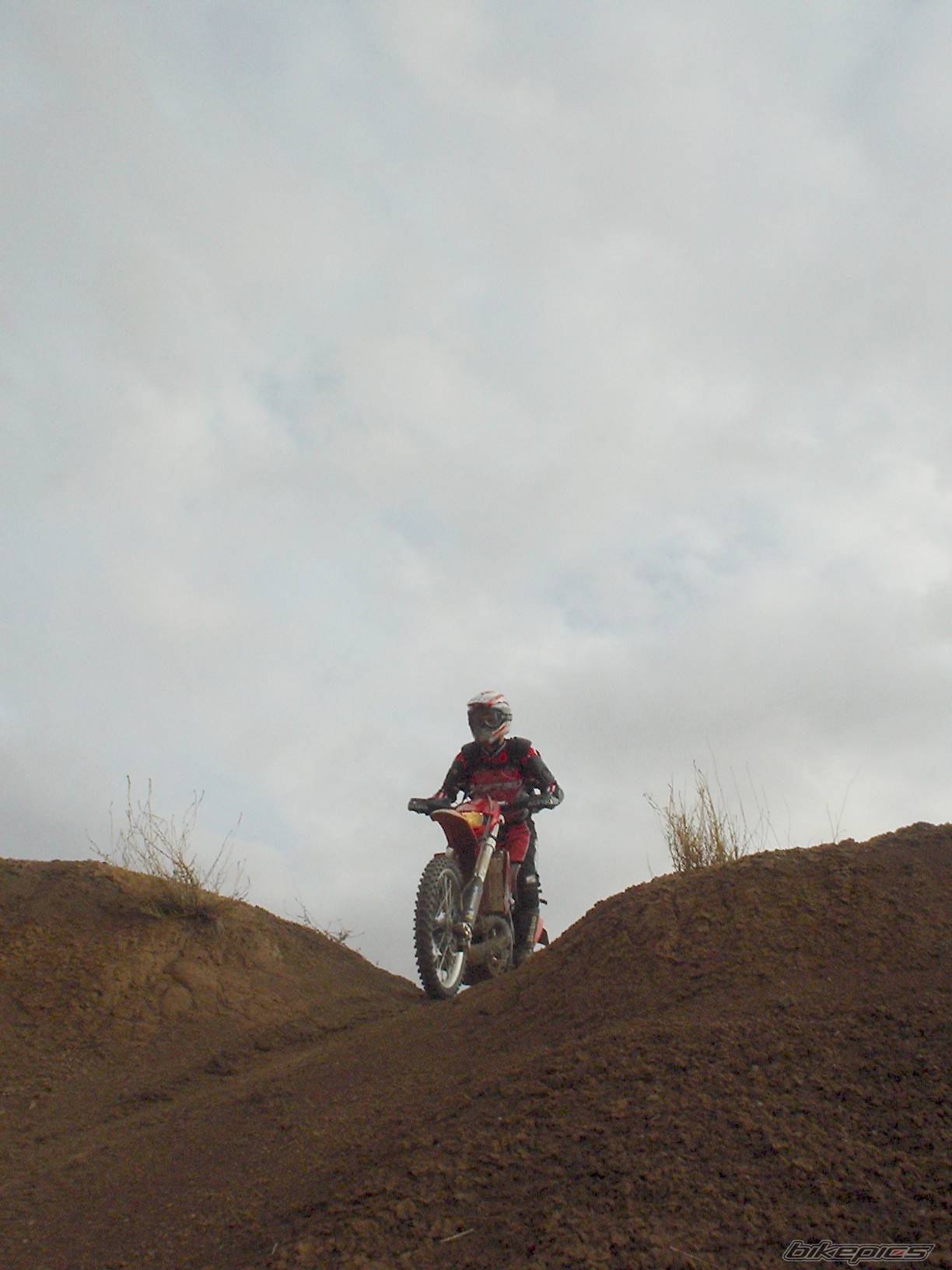 Bike Photo 446437