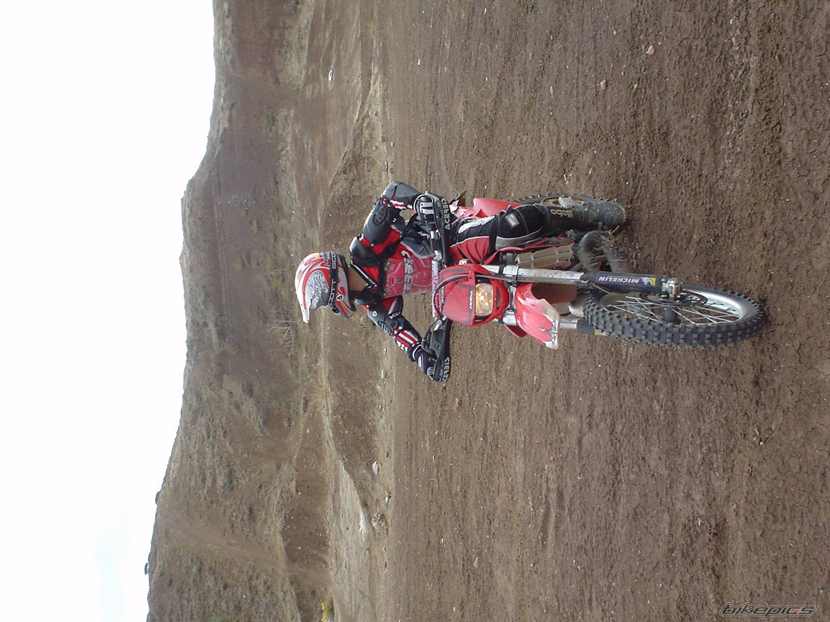 Bike Photo 446439