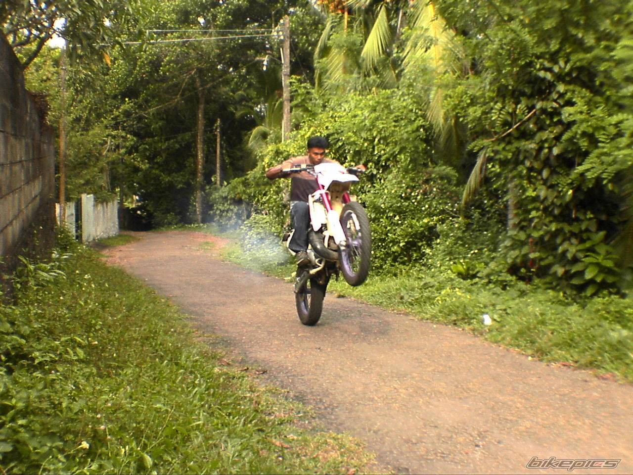 Bike Photo 446463