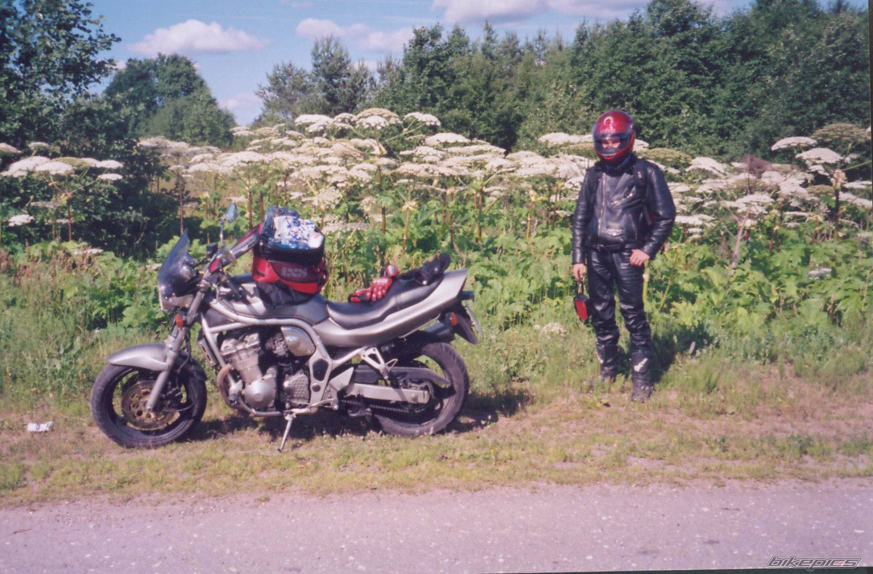 Photo 446479