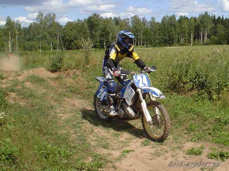 Photo 446491
