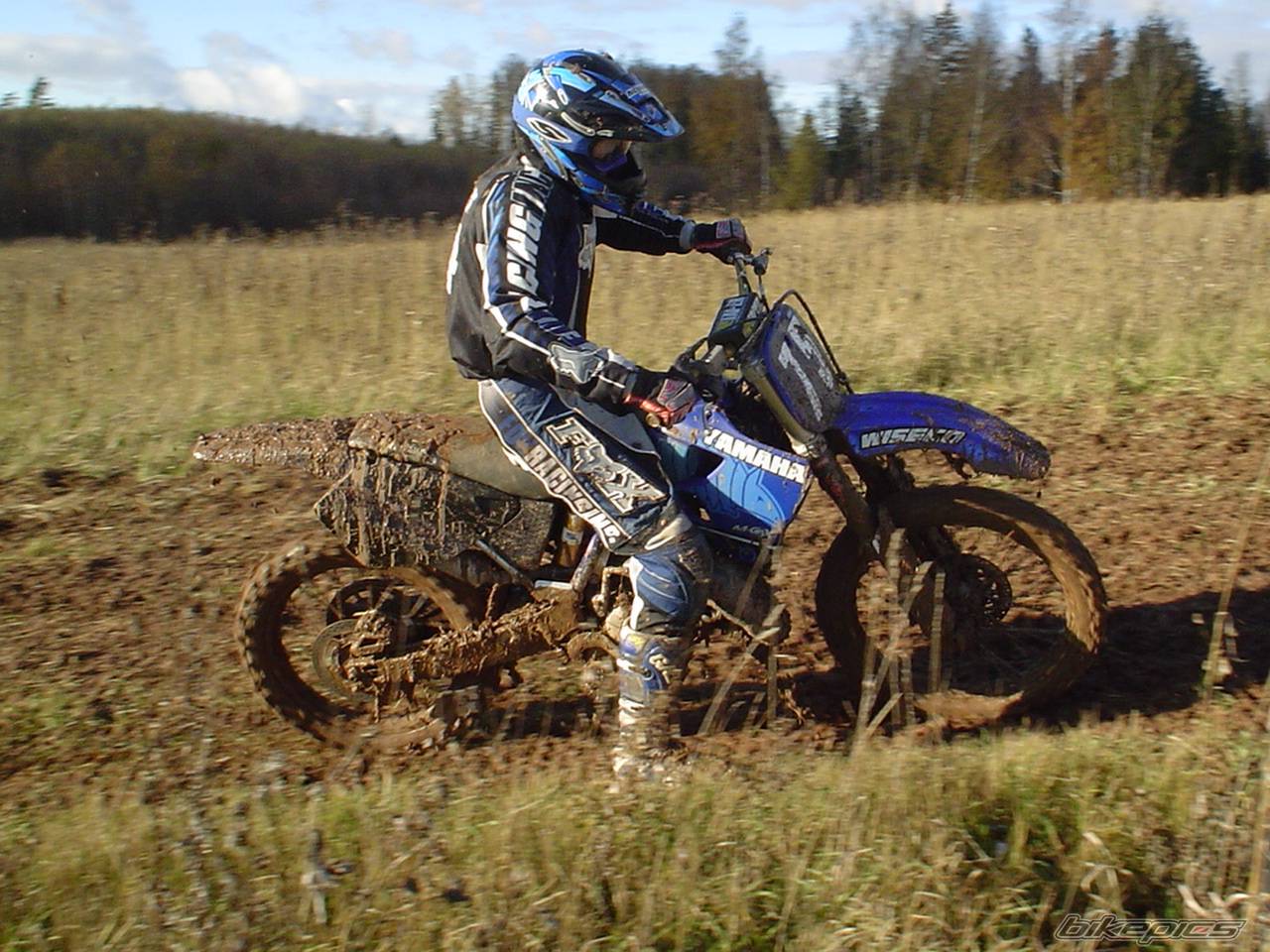 Photo 446496