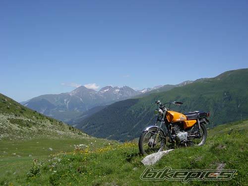 Photo 446549